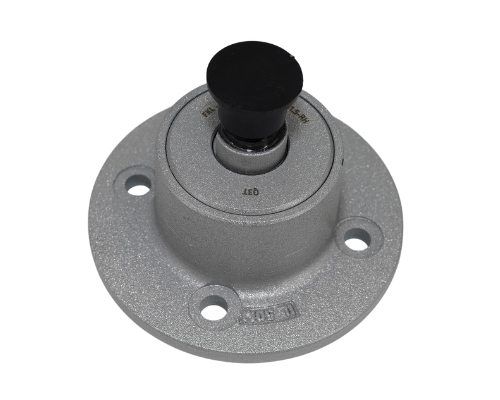 Odoo • A picture with a caption